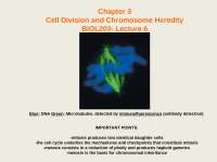 Cell Division and Chromosome Heredity