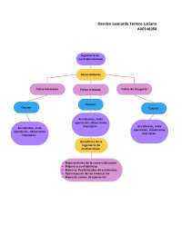 Mapa Conceptual de Ingeniara renobable