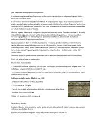 appunti lezioni di letteratura serbo croata