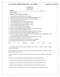Plexo Cervical: Anatomía y Funcionalidad - Prof. Landa