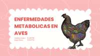 Enfermedad metabólica en aves de postura