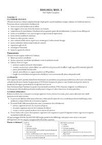 appunti modulo 3 di fondamenti di biologia (SFP unipi), Botanica Prof. Ruffini Castiglione
