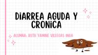 Diarrea aguda y crónica: epidemiología, fisiopatología y manejo clínico