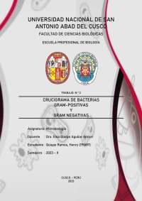 Crucigrama de bacterias Gram-positivas y Gram-negativas