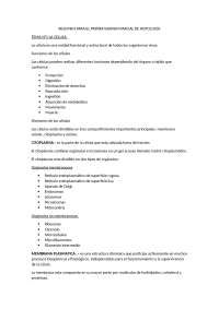 Funciones y estructura de las células - Prof. Anguelo