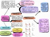 Conceptos de fiologuia del ejercicio