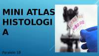 Mini Atlas de Histología