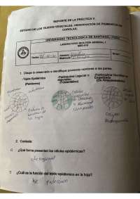 Química apuntes, una guía de estudio