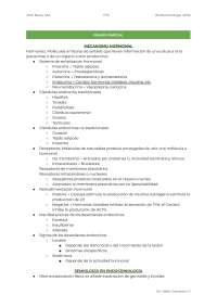 Apuntes Endocrinología