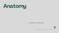 Anatomy: Understanding the Structure of the Human Body