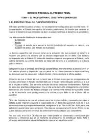 apuntes completos procesal penal
