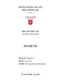 Internship Report - Van Lang University