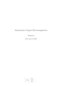 Wangsness solucionario