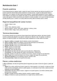 El tegumento: estructura y funciones