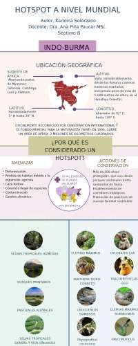 Hotspot mundiales importantes