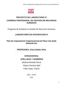 Plan de Capacitación Organizacional de Plaza Vea Sede Alameda Sur