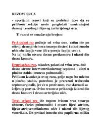 Skripta rezovi srca iz anatomije čivjeka
