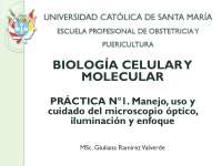 Manejo, uso y cuidado del microscopio óptico - Prof. Caceres