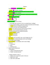 Skeletal and Muscular System Anatomy