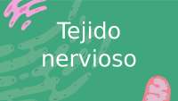 El tejido nervioso y sus componentes