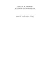 Interferencia de Malezas en Cultivos Agrícolas