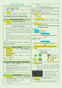 Biology - Photosynthesis and Cell Division, 1st year Psychology Course
