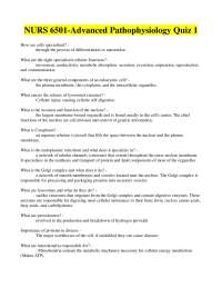 NURS 6501-Advanced Pathophysiology Quiz 1