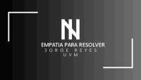 actividad 6 blackboard instalaciones I