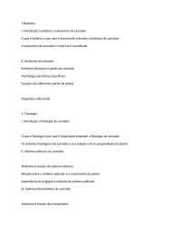 curso extensao qualidade de vida