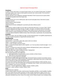 Specie di spazi di Georges Perec: Analisi del testo - Prof. Como