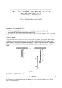 relazione molla laboratorio 1