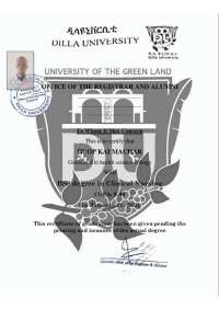 Dilla University Logo የከፍተኛ ትምህርት ተቋማትን