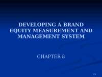 Developing a Brand Equity Measurement and Management System