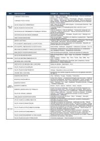 MÉTODO 6 M - DIAGRAMA DE CAUSA E EFEITO