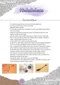 Hidatidosis: una zoonosis parasitaria
