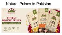 Natural Pulses in Pakistan