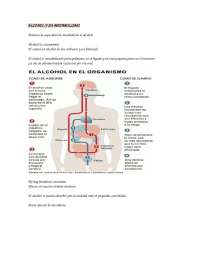 Metabolismo del alcohol