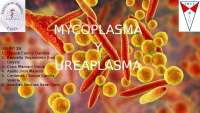 Mycoplasma y Ureaplasma: Características, Enfermedades y Diagnóstico