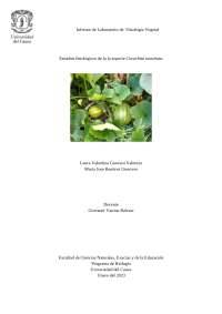 Estudios fisiológicos en la planta Cucurbita moschata