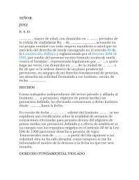 Acción de tutela por violación del derecho de petición