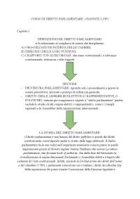 Diritto Parlamentare: Storia, Evoluzione e Regolamenti in Italia - Prof. Ceccanti