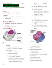 cells & Tissues in biochemistry