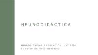 Neurociencia y Educación: Cómo el Cerebro Aprende