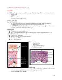 DERMATOLOGIA SEDE UDINE CDL INFERMIERISTICA