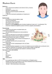 Miastenia gravis - neurología