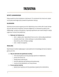 Patofizjologia Trzustki