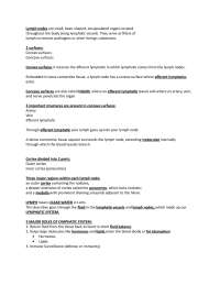 The Immune System & Lymphoid Organs HISTO 101