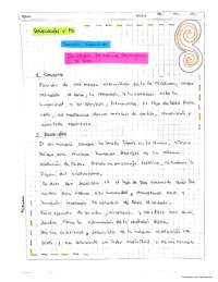 Ensayo de derecho, primer