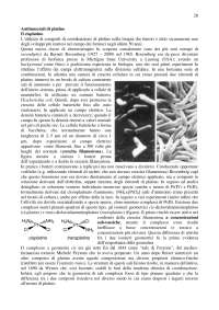 Il Cisplatino: Meccanismi di Azione e Resistenza nella Chemioterapia dei Tumori