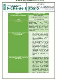 Ficha de Ecosistema: Bosque Basimontano Yunga - Prof. Ita Balta